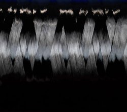 投資75億！又一年產(chǎn)2.4萬噸高性能聚丙烯腈基碳纖維項目完成簽約